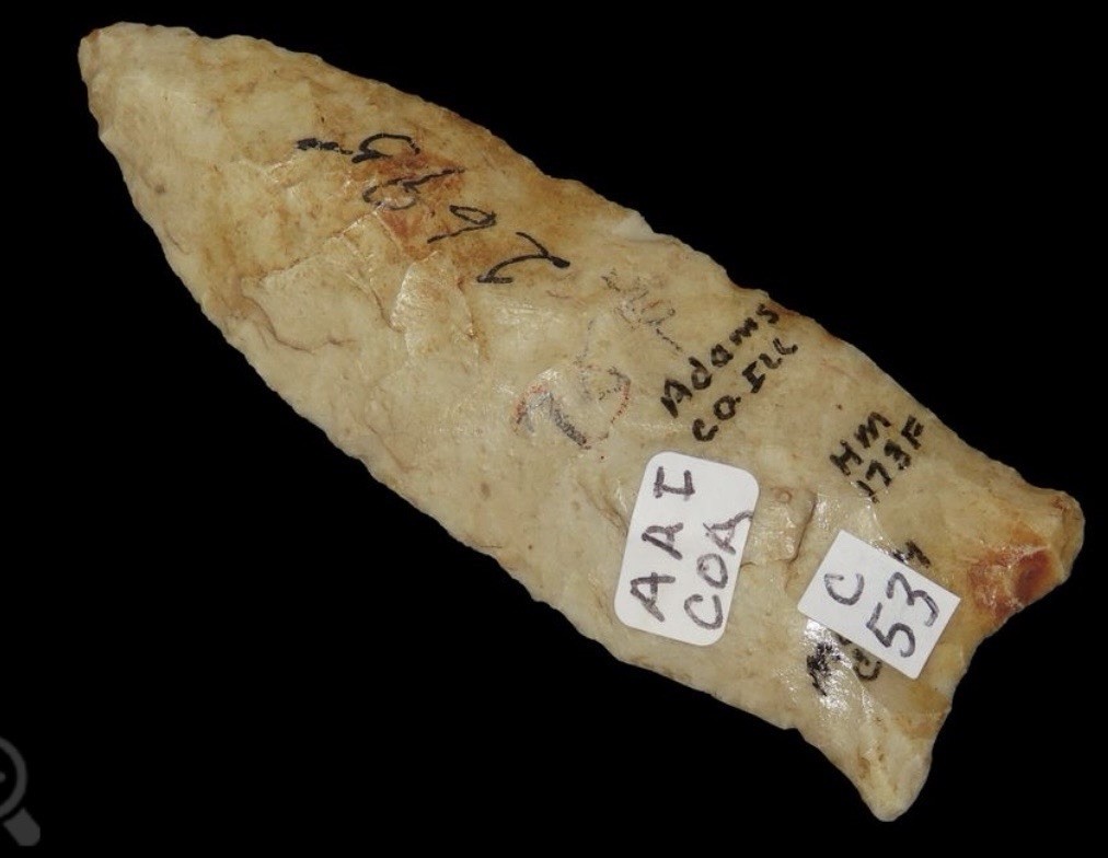 DALTON ARROWHEAD ILLINOIS ANCIENT AUTHENTIC NATIVE AMERICAN ARTIFACT  COA