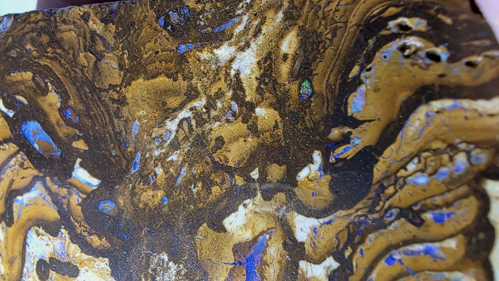 Australian Boulder opal rough Greens and Blues 714 Cts. Australian Boulder opal rough Greens and Blues 714 Cts.