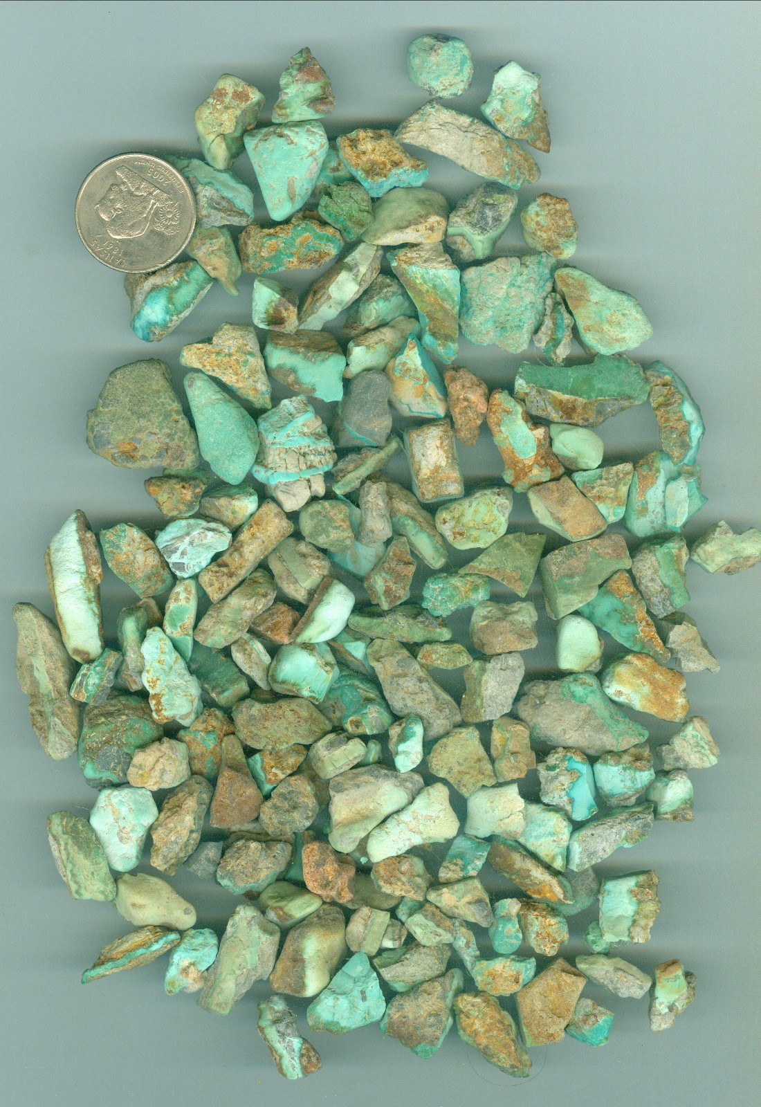 262 Grams of Natural American Green Tree Mine Turquoise Rough Nevada Turquoise