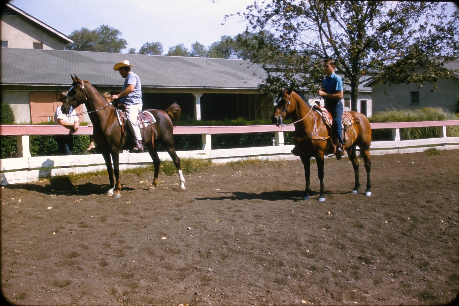 1960 Kodachrome Slide Man Giving Boy Lessons Ride Horses Equestrian 1960 Kodachrome Slide Man Giving Boy Lessons Ride Horses Equestrian