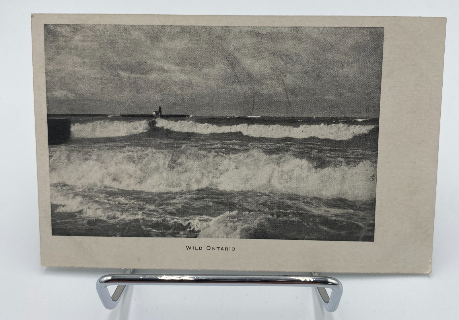 Vtg RPPC Wild Ontario Canada Postcard Vtg RPPC Wild Ontario Canada Postcard