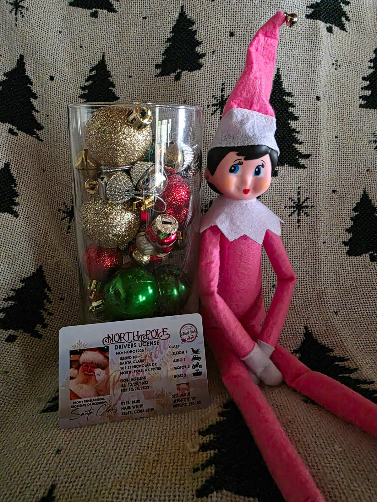 The Elf on the Shelf Pink Girl Doll  w/ Santa's Driver's License 