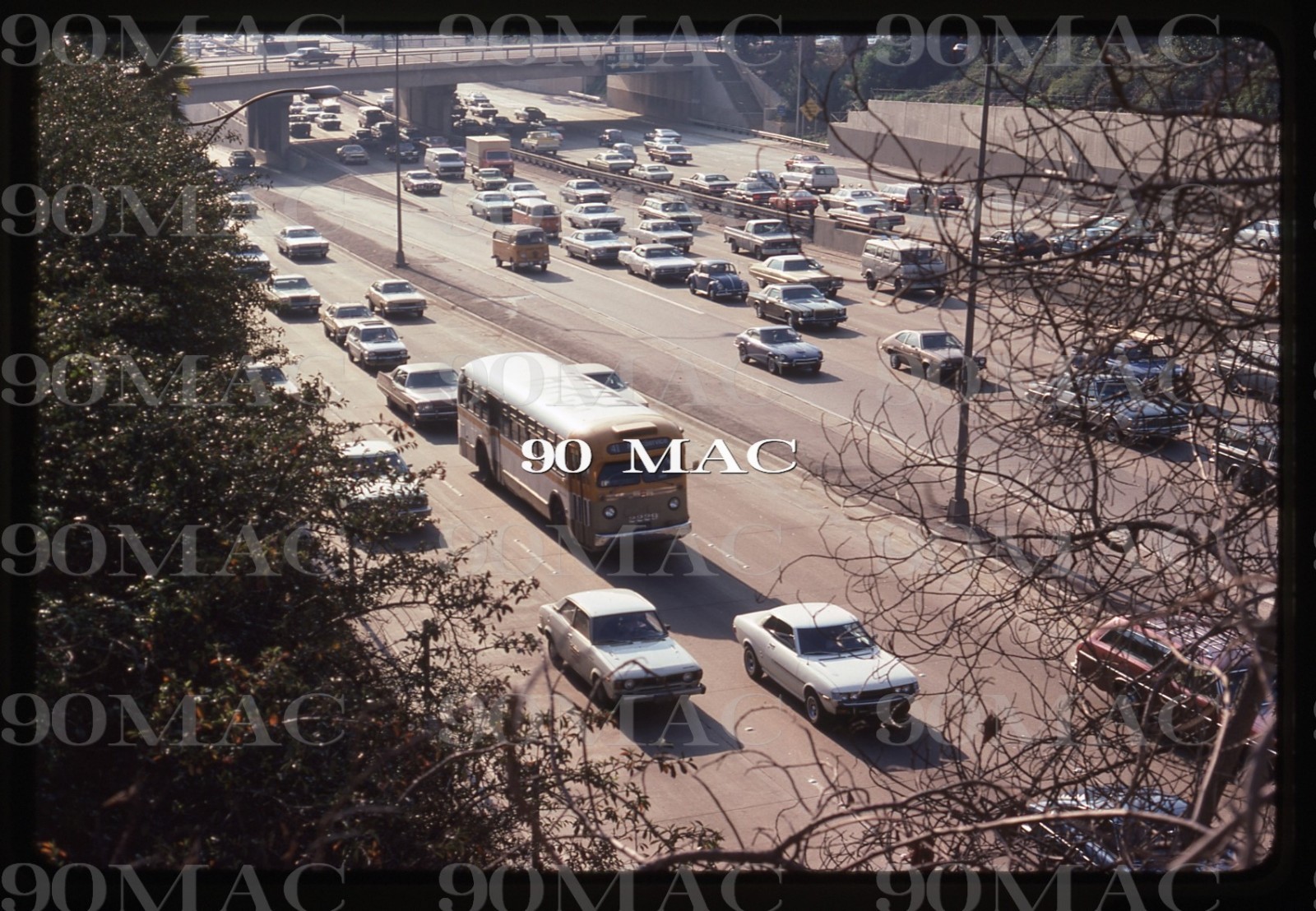 SCRTD. GM COACH BUS #2229. Los Angeles (CA). Original Slide 1979. Georgia Peach