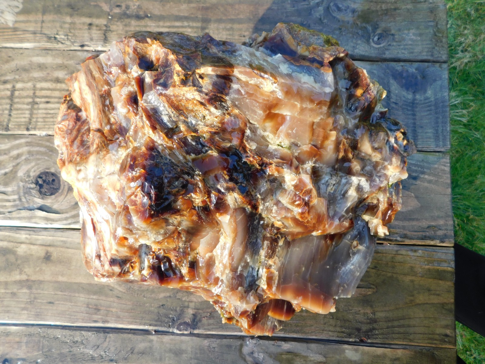 Giant Agate Limb Cast 62 lbs Central WA Vintage Excellent Quality Translucent
