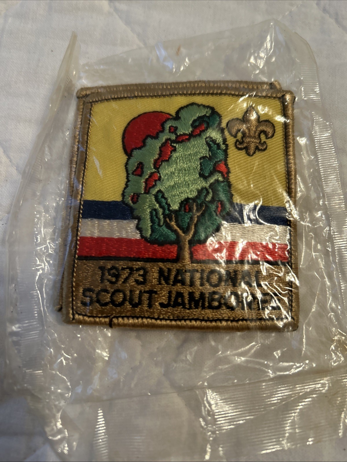 BSA Growing Together Moraine Farragut 2pc 1973 National Scout Jamboree Patches BSA Growing Together Moraine Farragut 2pc 1973 National Scout Jamboree Patches