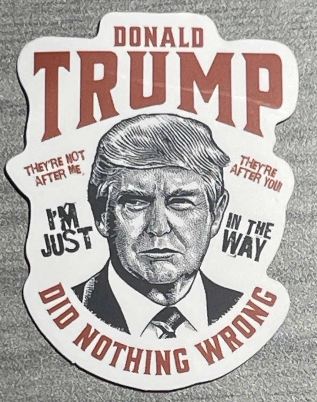 Donald Trump Did Nothing Wrong/They\'re After You Sticker -Open Box👀Description
