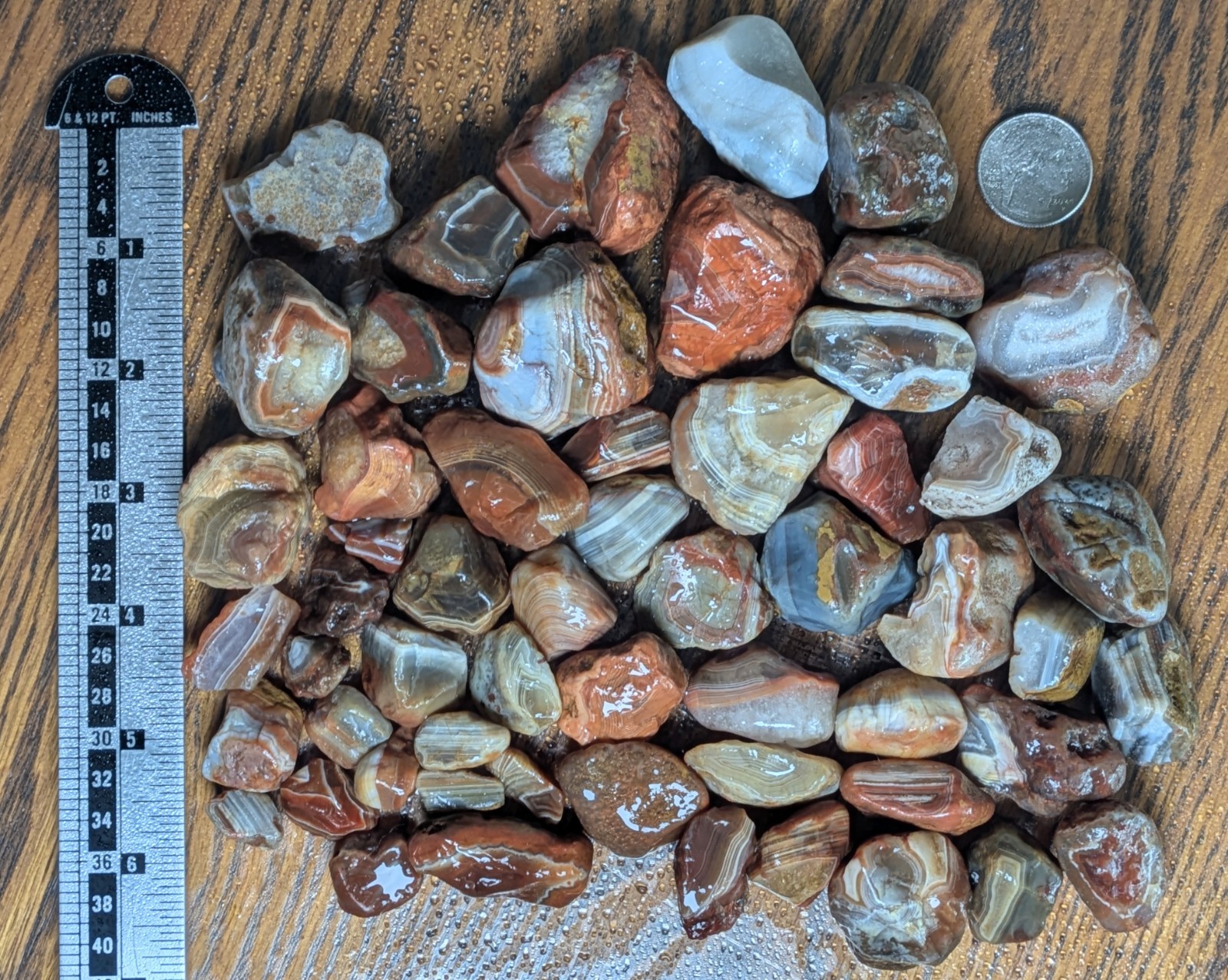 2 lb 3 oz lot of Lake Superior Agates, rough rocks