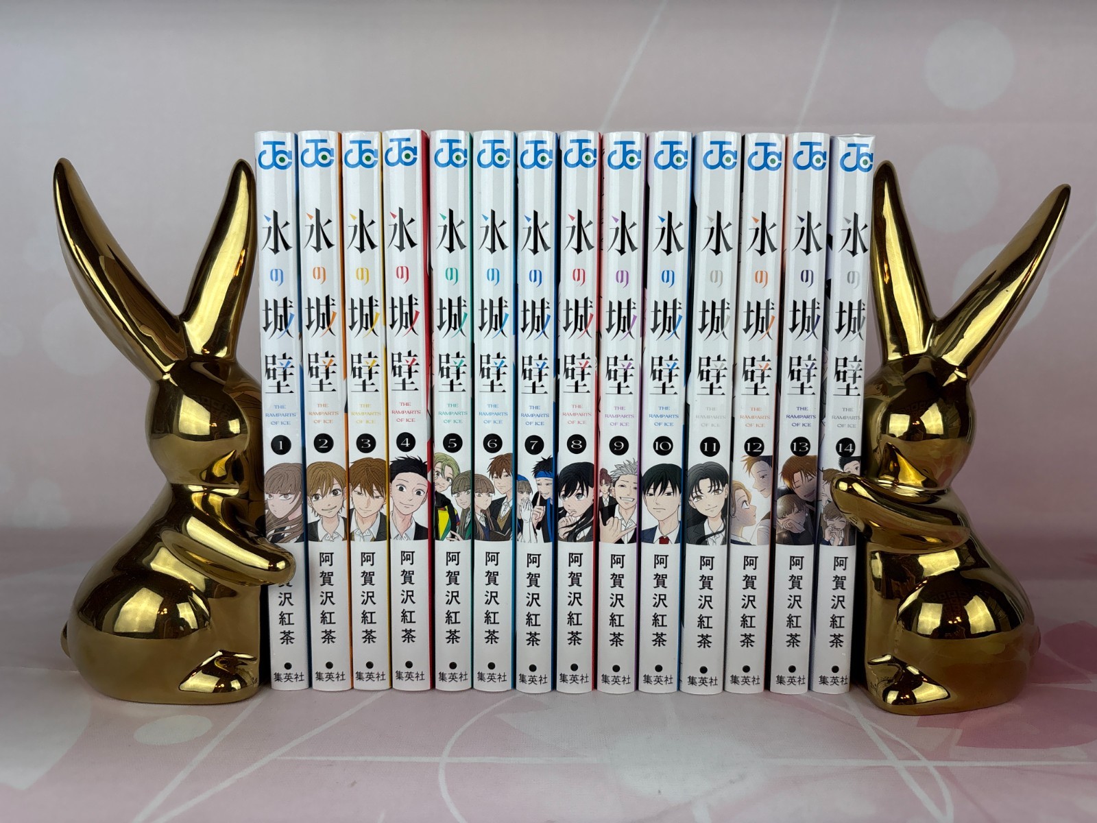 The Ramparts of Ice Japanese Ver Comics Manga Set Vol.1-14 Koori no Jouheki