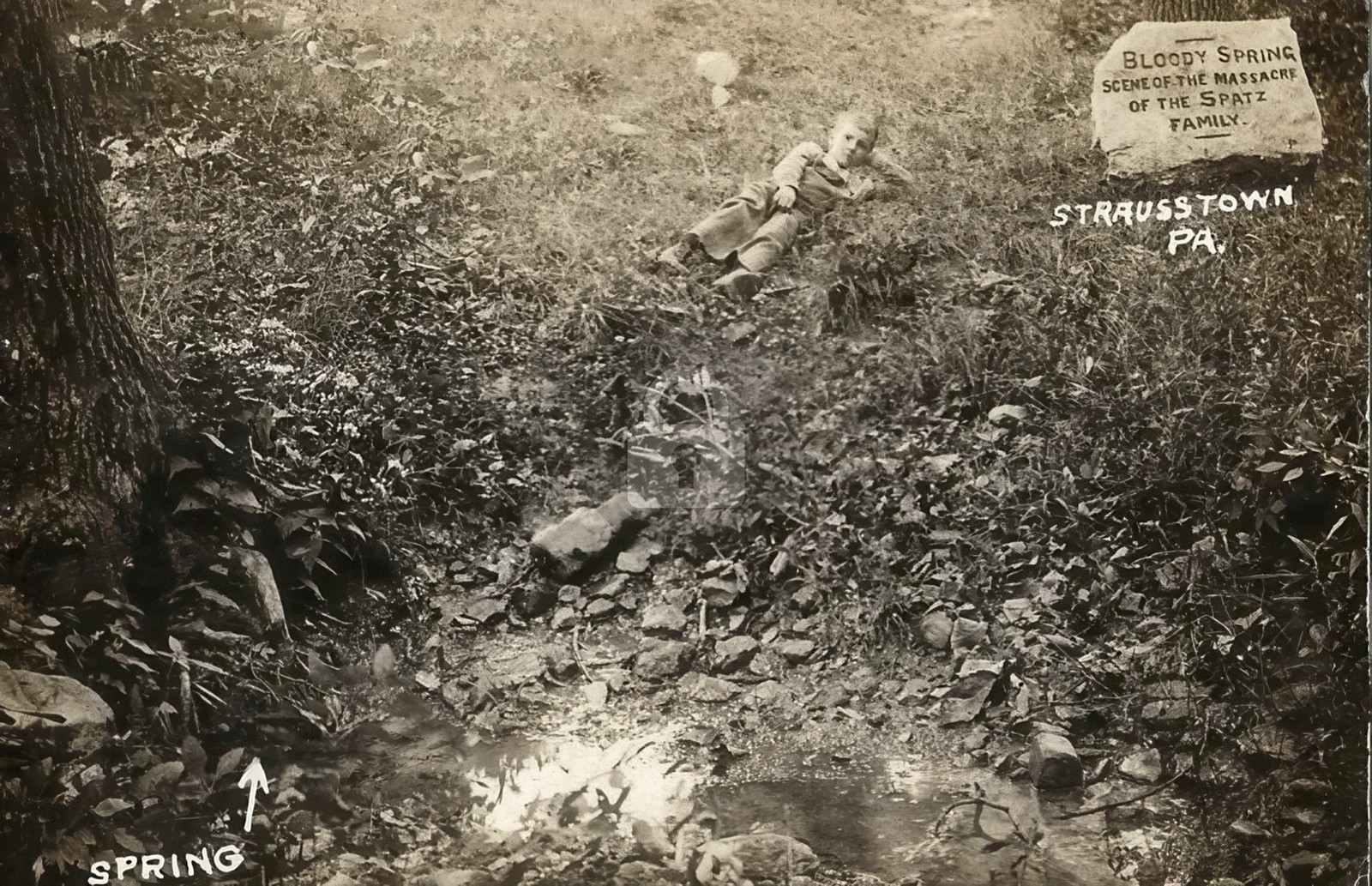 Bloody Spring Scene of Massacre Strausstown PA RPPC Photo Postcard COPY