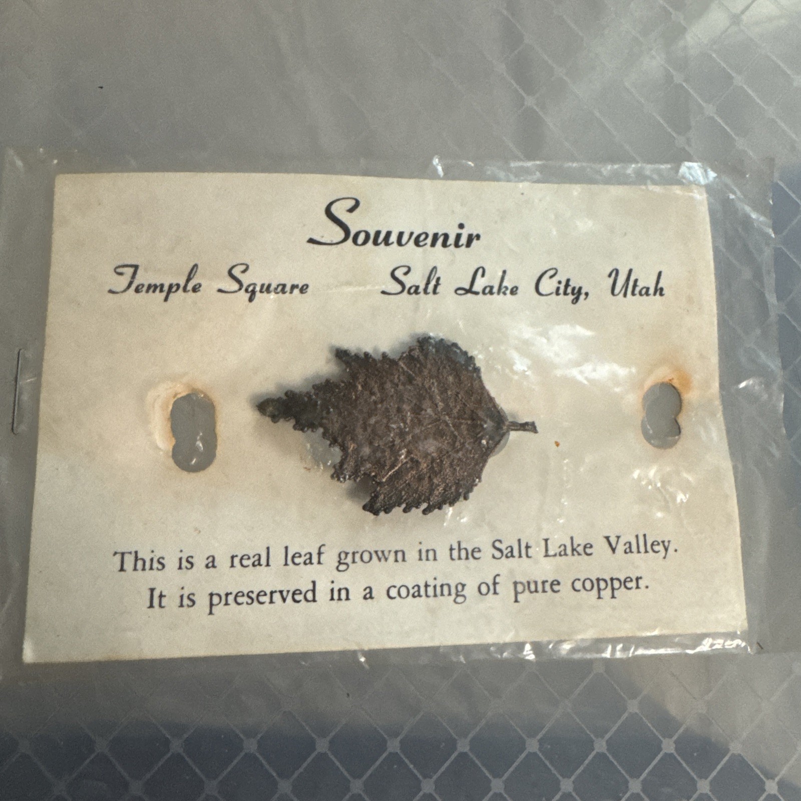 Vintage Temple Square, Salt Lake City, UT real leaf copper Pin Brigham Young Vintage Temple Square, Salt Lake City, UT real leaf copper Pin Brigham Young
