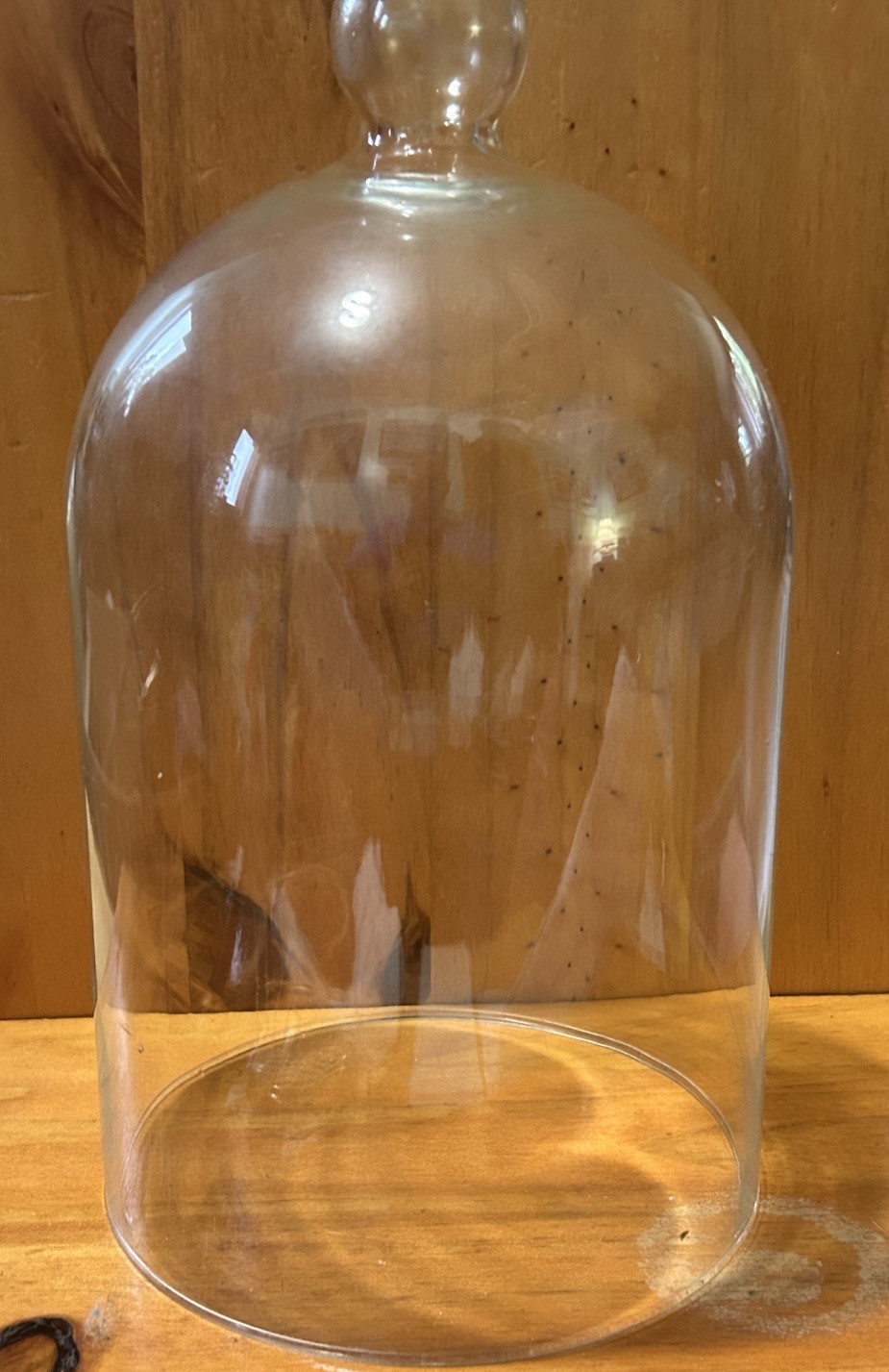 Vintage glass cloche 11” Tall Including Knob X 6.25 Glass Bell Jar Glass Dome