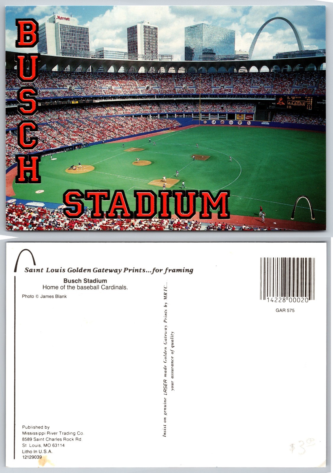 Continental Busch Stadium Saint Louis Missouri Postcard