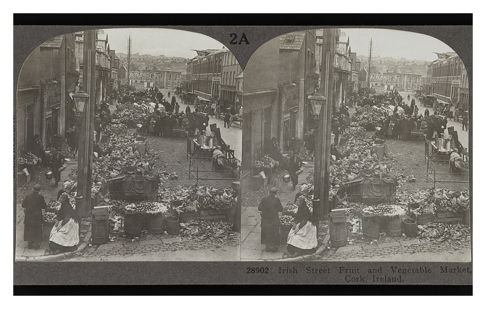 Cork Ireland Fruit Market Standard Postcard Cork Ireland Fruit Market Standard Postcard
