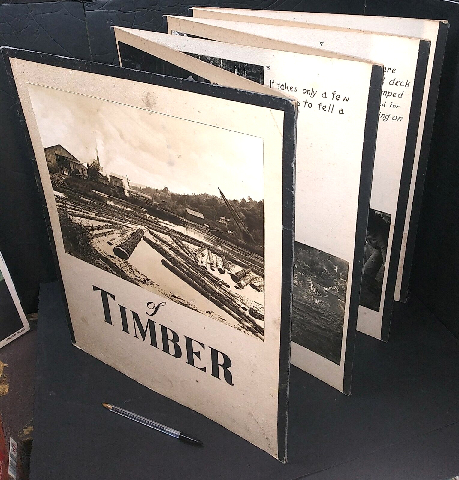 21 photos LOGGING TIMBER LUMBER YARD MACHINERY Ambrose Mill Santa Barbara 1950s