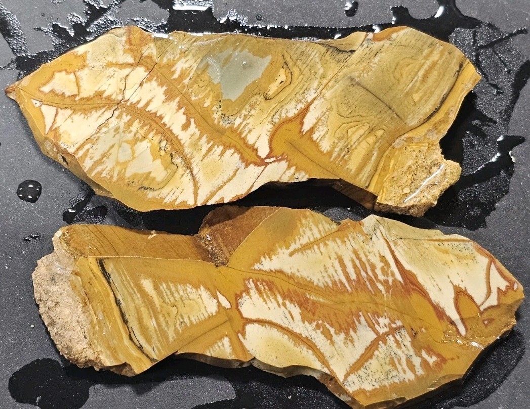 Owyhee Jasper Unpolished Stone 2 Slabs Lapidary Rough R238 Owyhee Jasper Unpolished Stone 2 Slabs Lapidary Rough R238