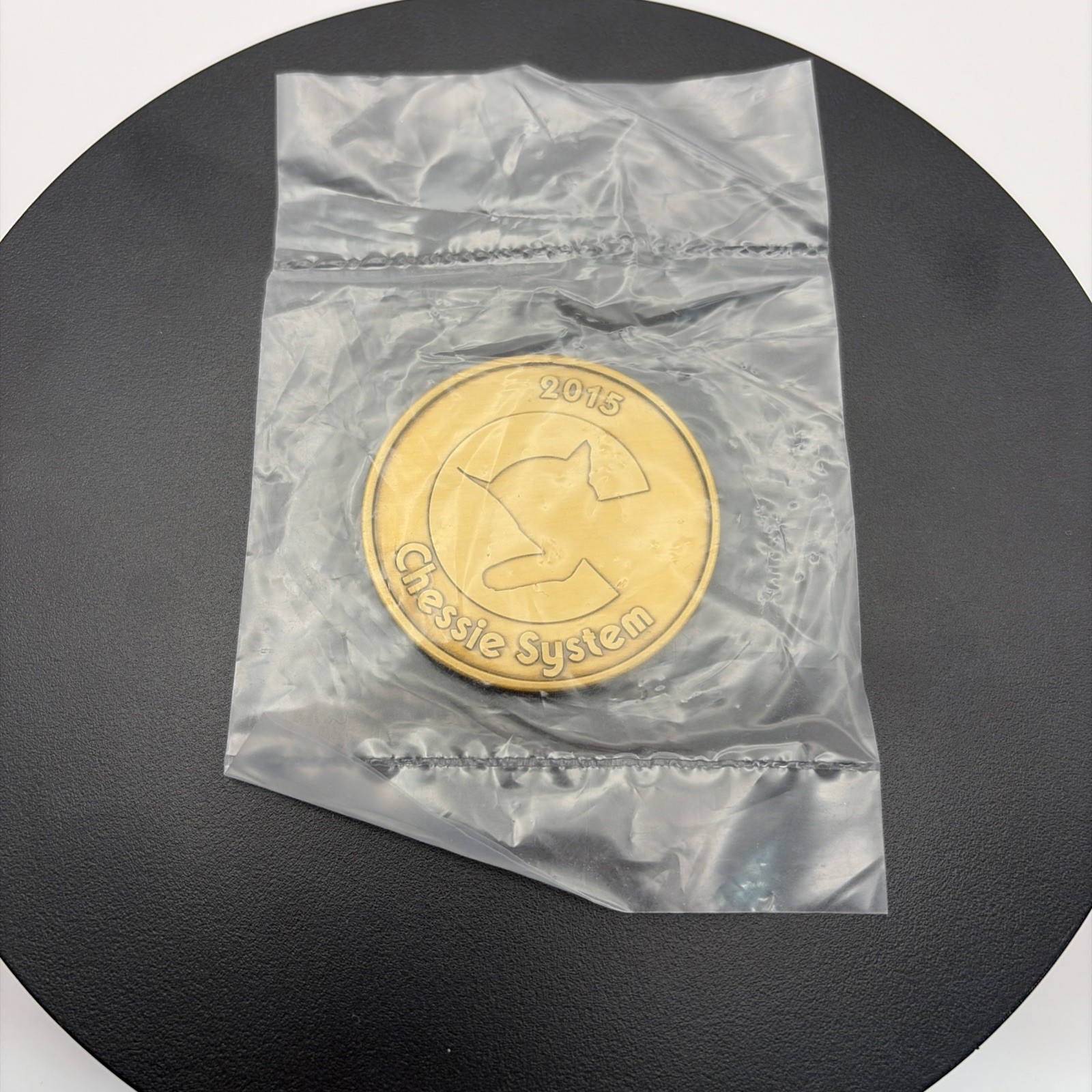 Chessie System (B&O Railroad)  Coin