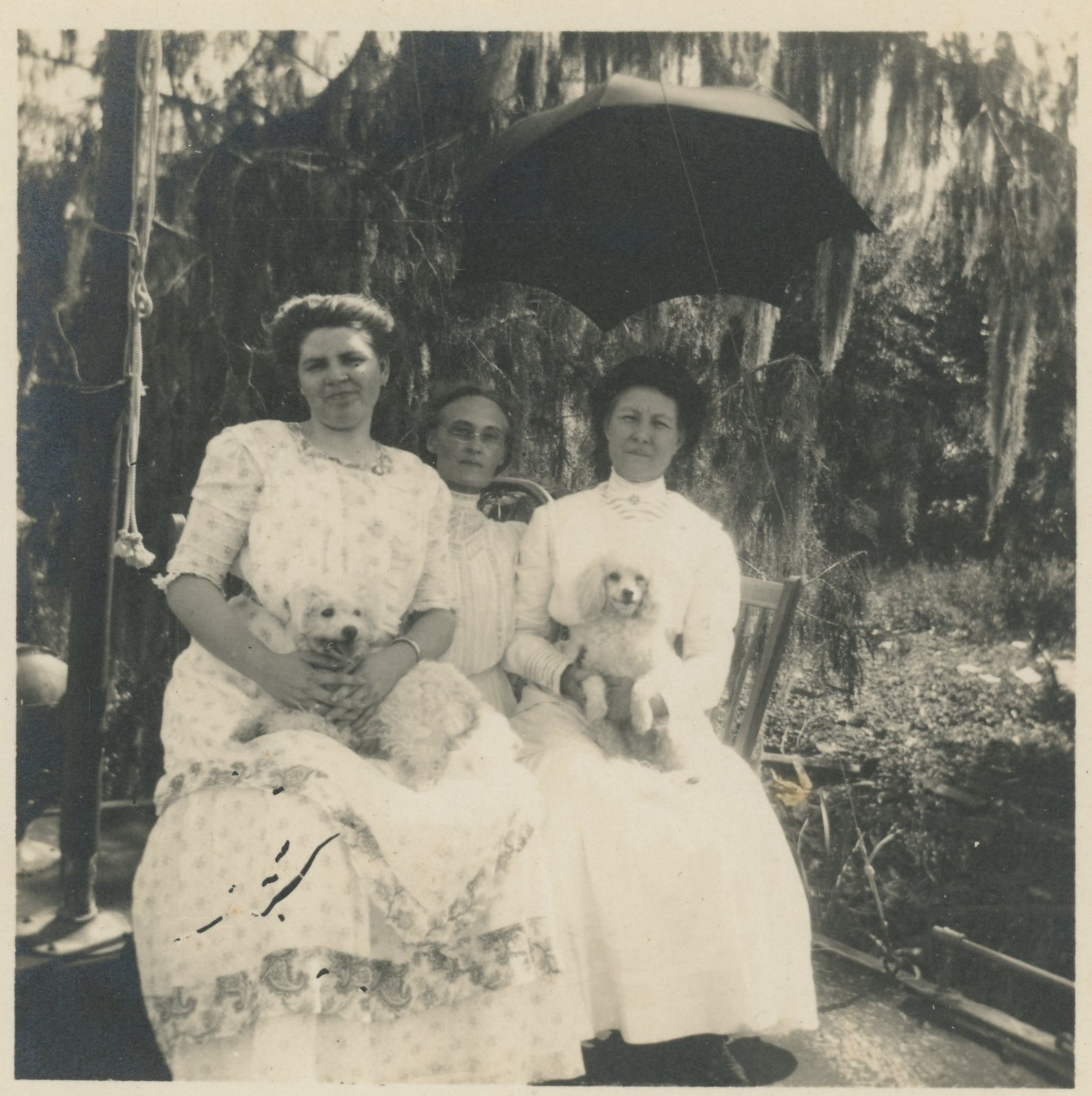 Women Edwardian Dresses Poodle Terrier Dogs Umbrella Antique Photo 1910s Women Edwardian Dresses Poodle Terrier Dogs Umbrella Antique Photo 1910s