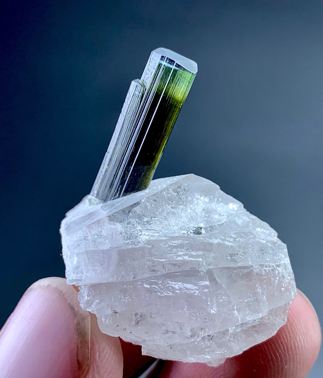 55 Carat Green Cap Tourmaline Crystal Specimen On Quartz From Afghanistan