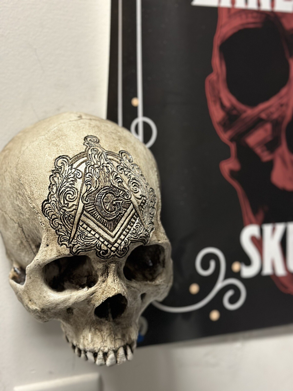 Square & Compass Wall Mount  RESIN REPLICA Of A Real Human Skull By Zane Wylie