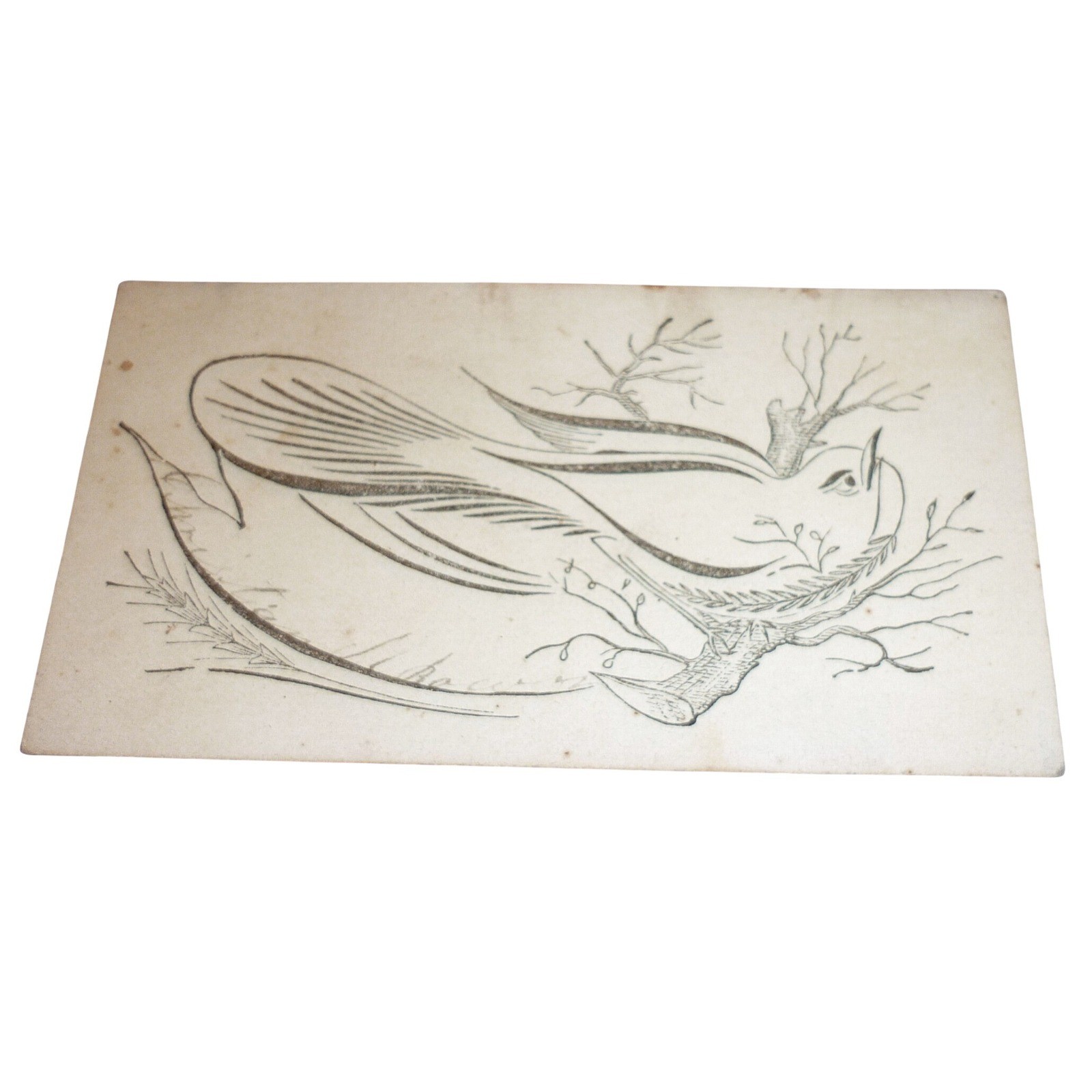 Antique Spencerian Calligraphy Bird Trade Card Victorian Penmanship Ephemera Antique Spencerian Calligraphy Bird Trade Card Victorian Penmanship Ephemera