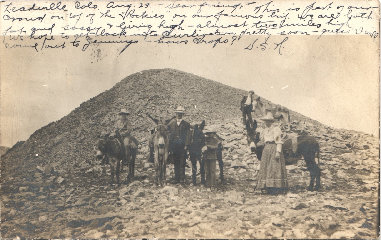 MULE PARTY leadville co real photo postcard rppc colorado donkeys mules MULE PARTY leadville co real photo postcard rppc colorado donkeys mules