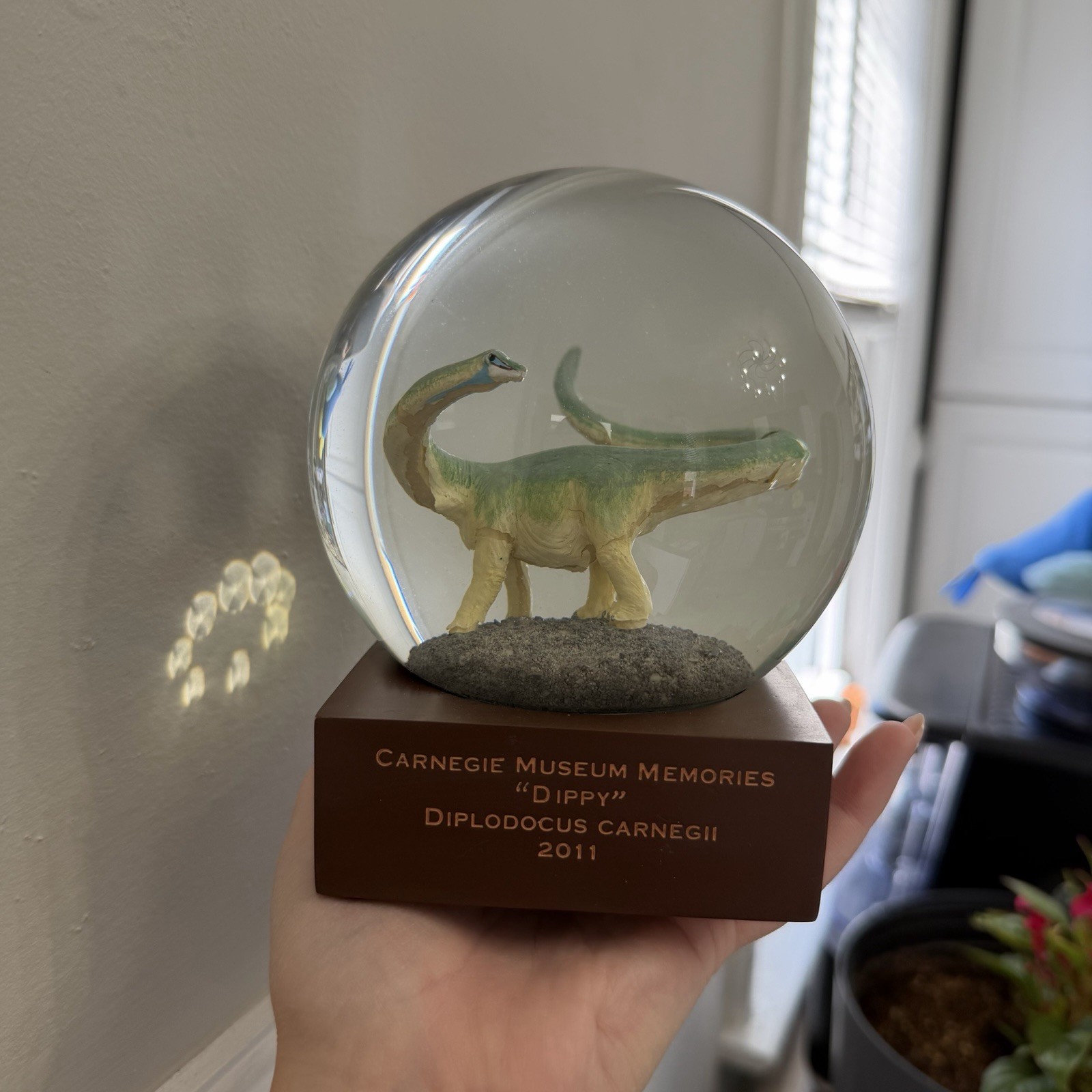 RARE Carnegie Museum 2011 “Dippy” Diplodocus Carnegii Snow Globe Dromedary RARE Carnegie Museum 2011 “Dippy” Diplodocus Carnegii Snow Globe Dromedary