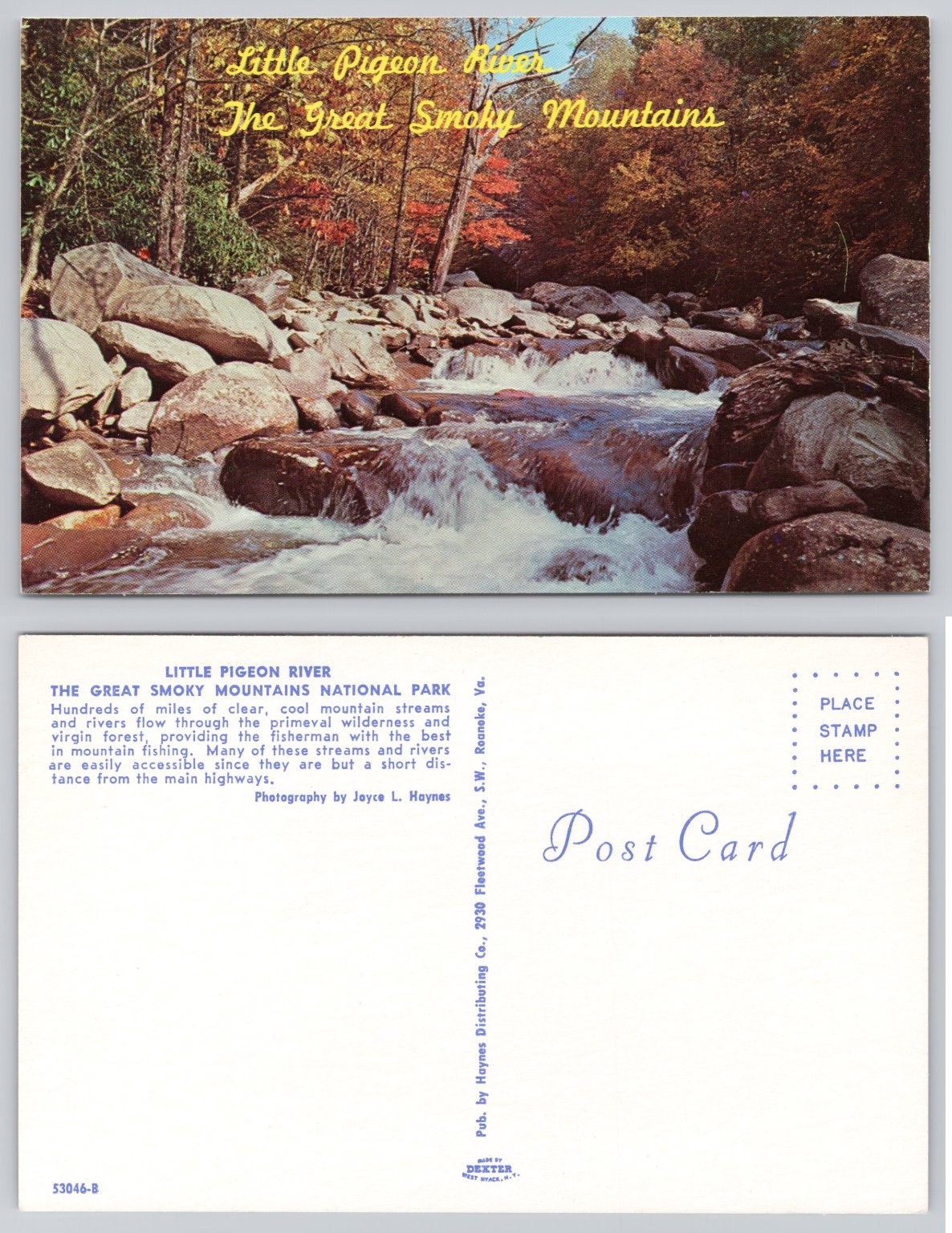 Little Pigeon River Great Smoky Mountains National Park Fall Foliage Postcard