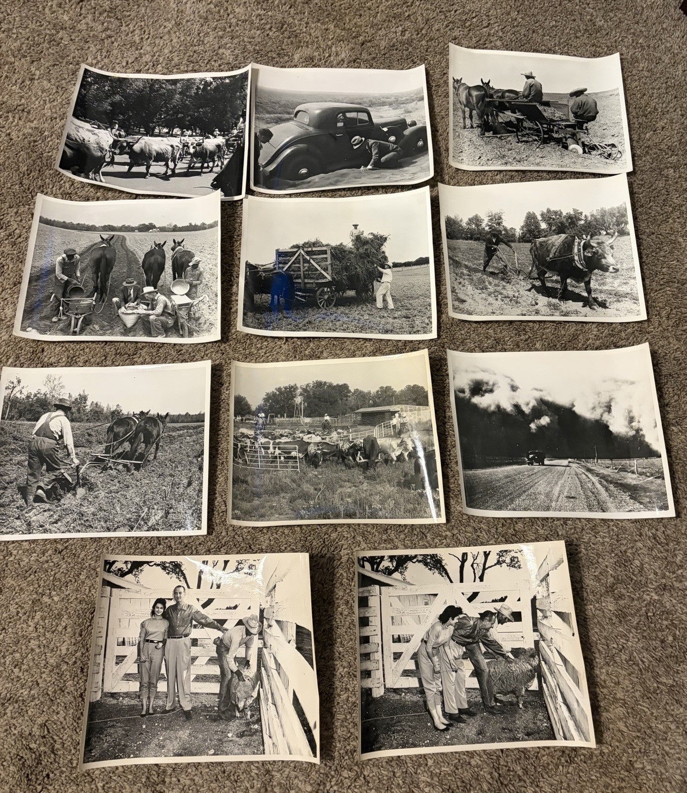 11 Vintage 8x10 USDA SCS Photos 1930s-50s Lyndon B Johnson Dust Bowl Texas Ranch
