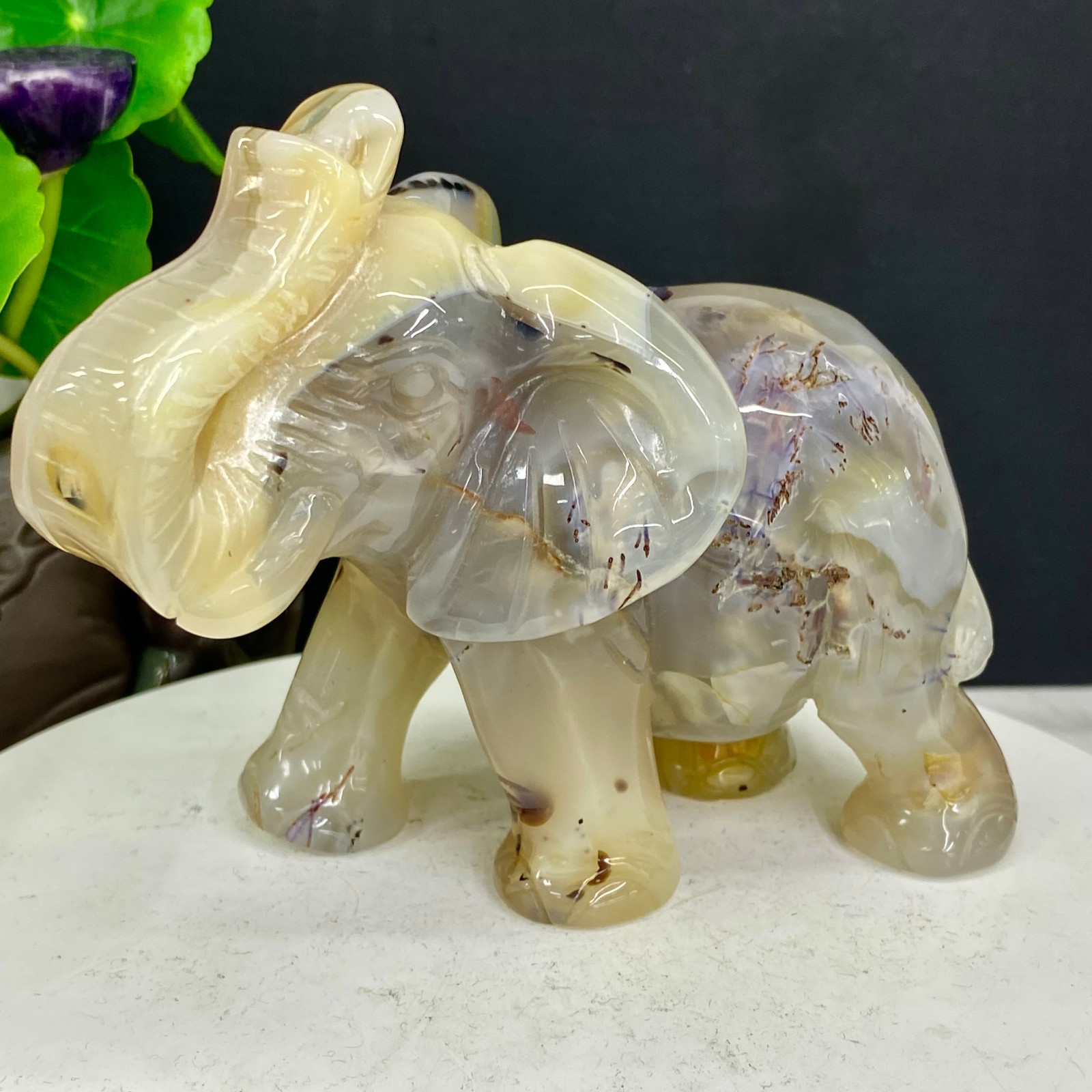 1.74LB Natural agate geode quartz crystal engrave Elephant skull healing gift de