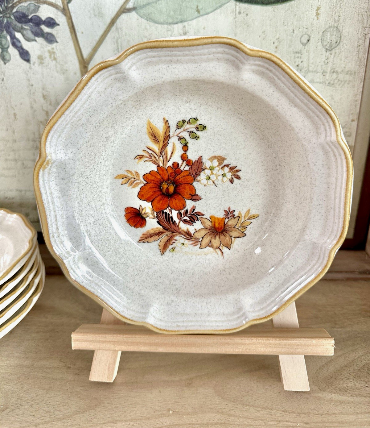 (6) Vintage Mikasa Garden Club Harvest Bouquet EC 455 Stoneware Bowls, Japan (6) Vintage Mikasa Garden Club Harvest Bouquet EC 455 Stoneware Bowls, Japan