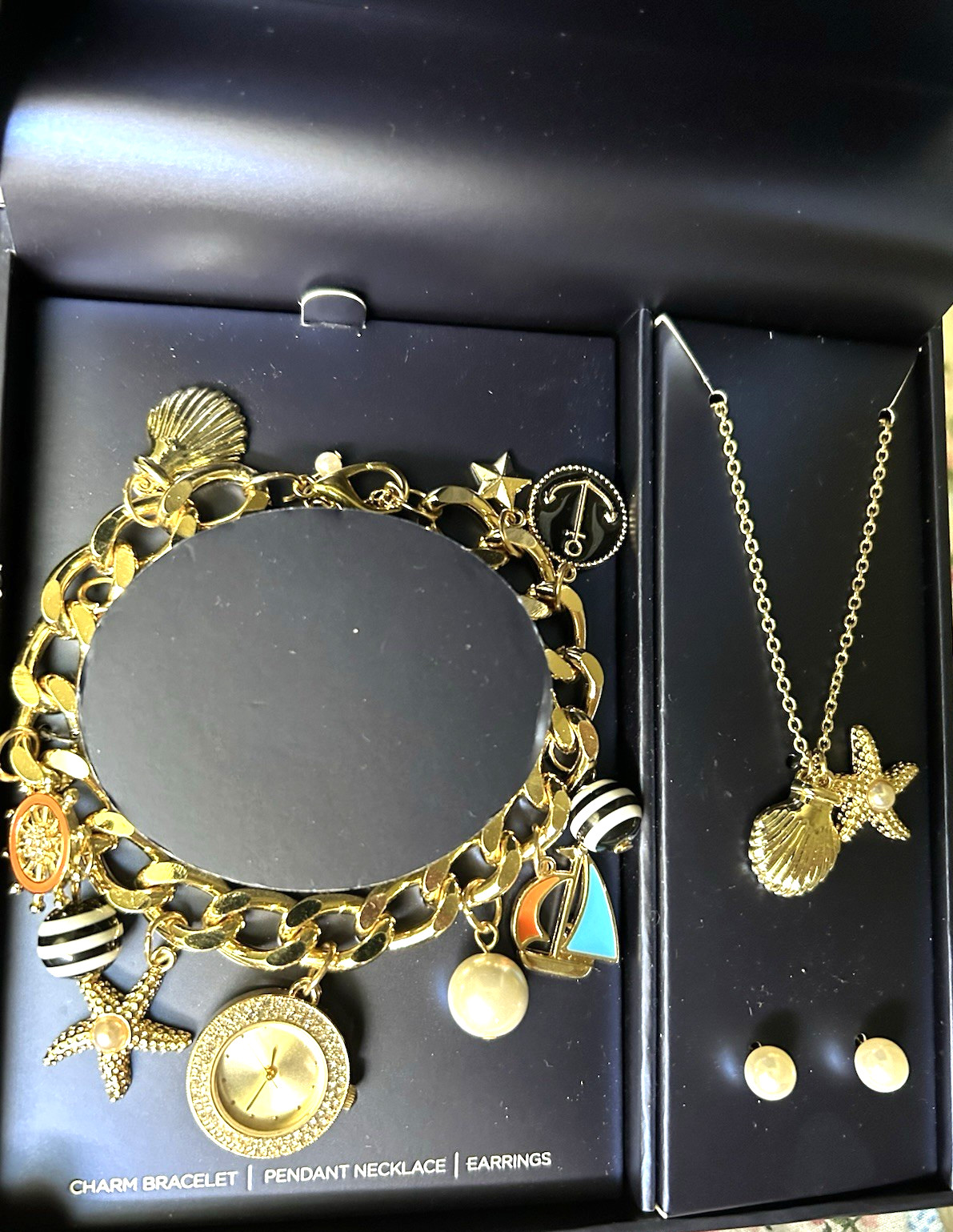 $50 Bon Voyage Onboard Exclusive Jewerly Set 3 Bracelet Charms Pendant Earrings