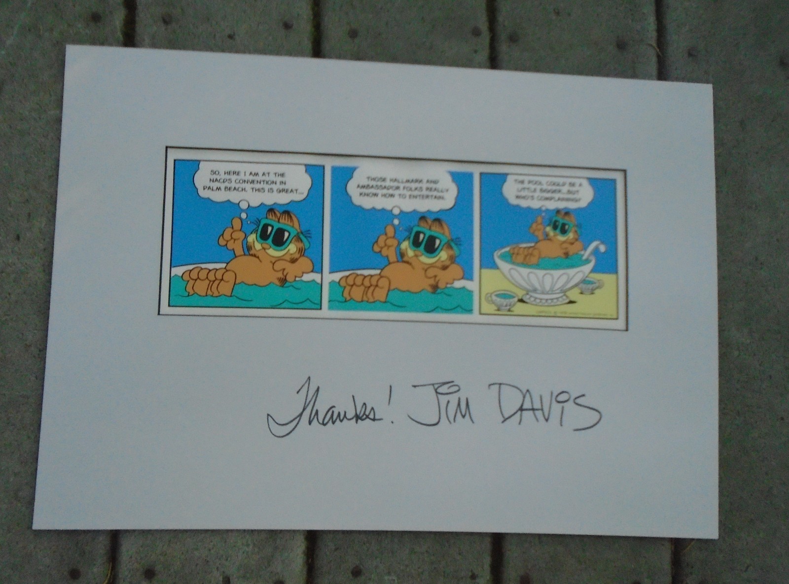 Garfield Original Comic Strip Seriograph Dated 1978 by Jim Davis 1st year Signed