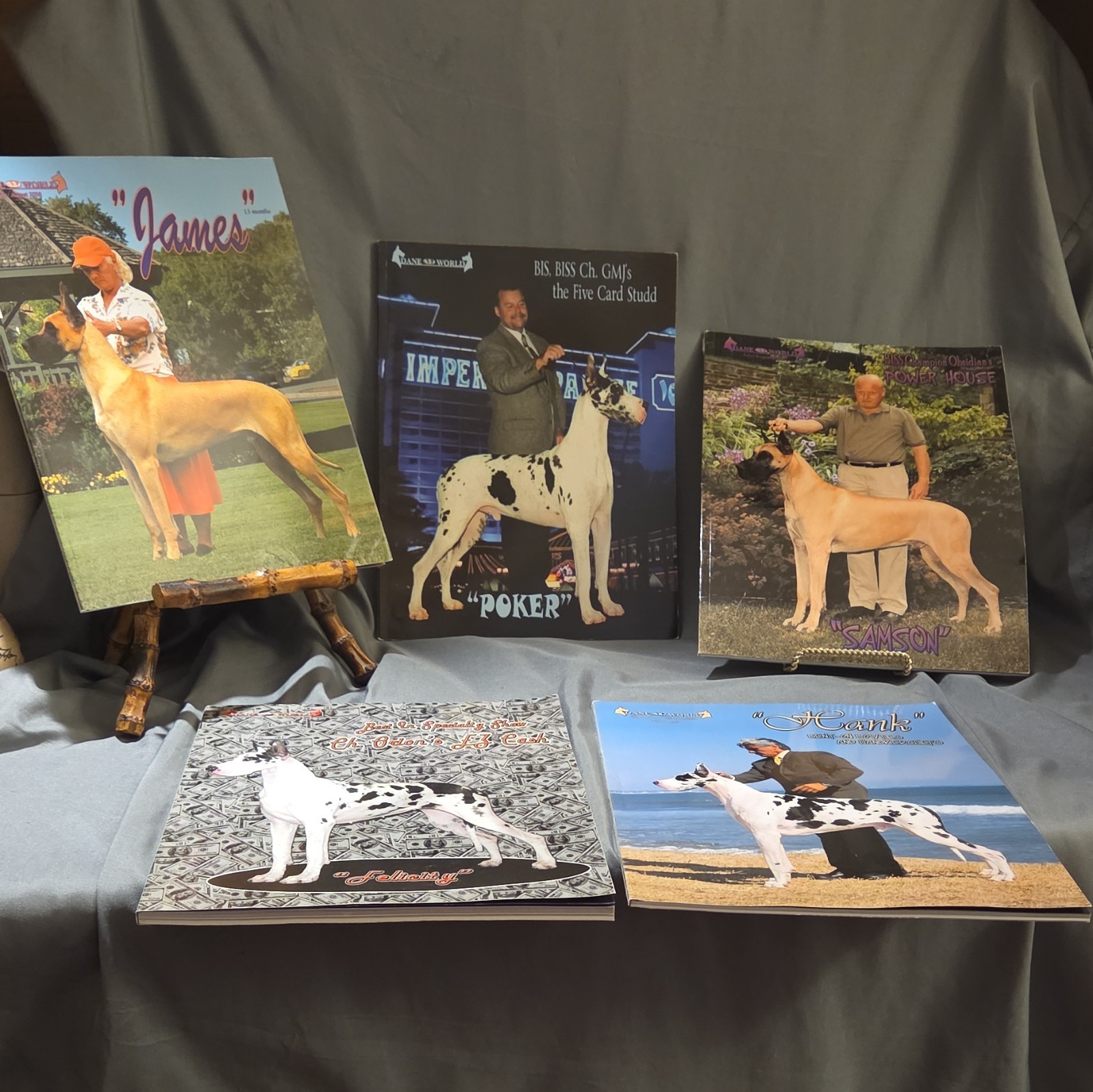 Great Dane Magazines Lot of 5– 