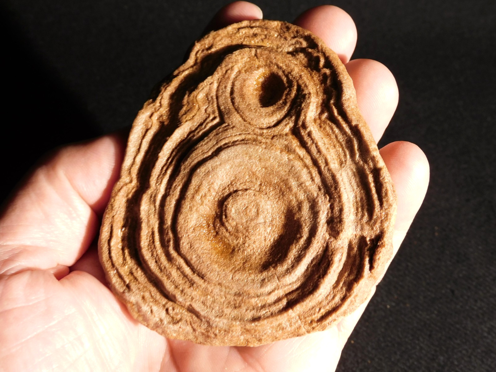 600 Million Year Old STROMATOLITE Fossil 100% Natural Morocco 243gr