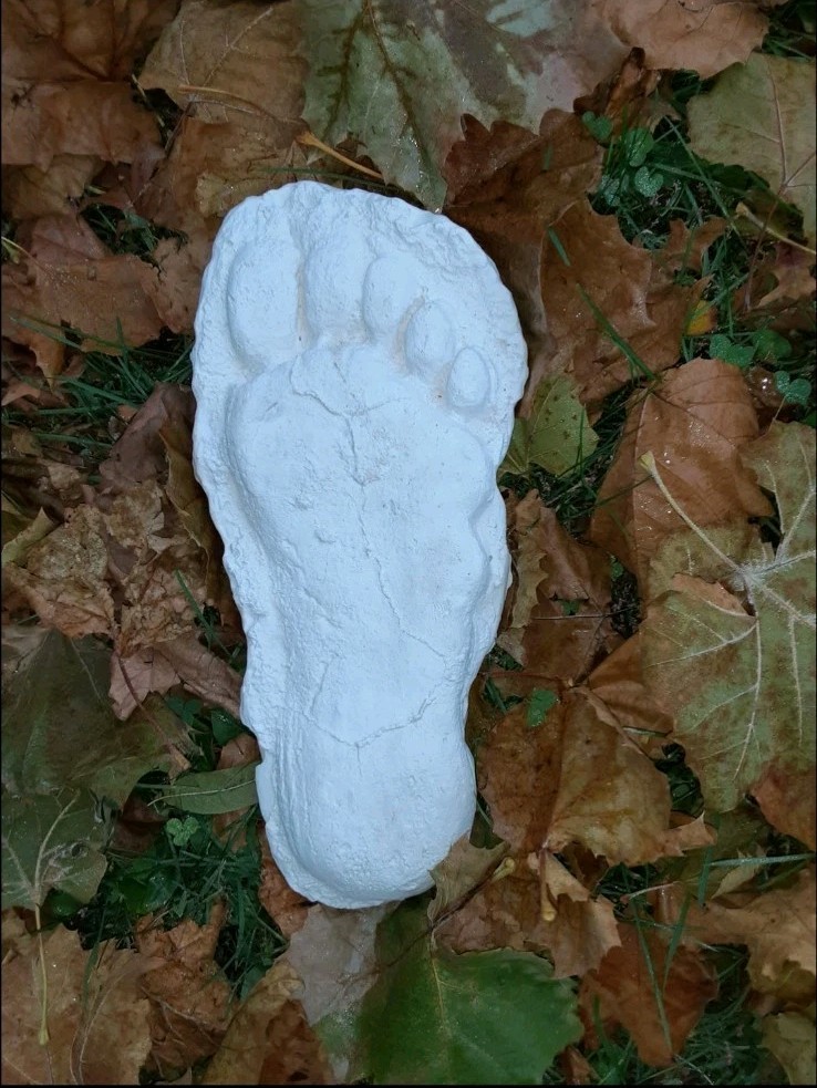 1982 Grays Harbor Heryford Bigfoot print cast 