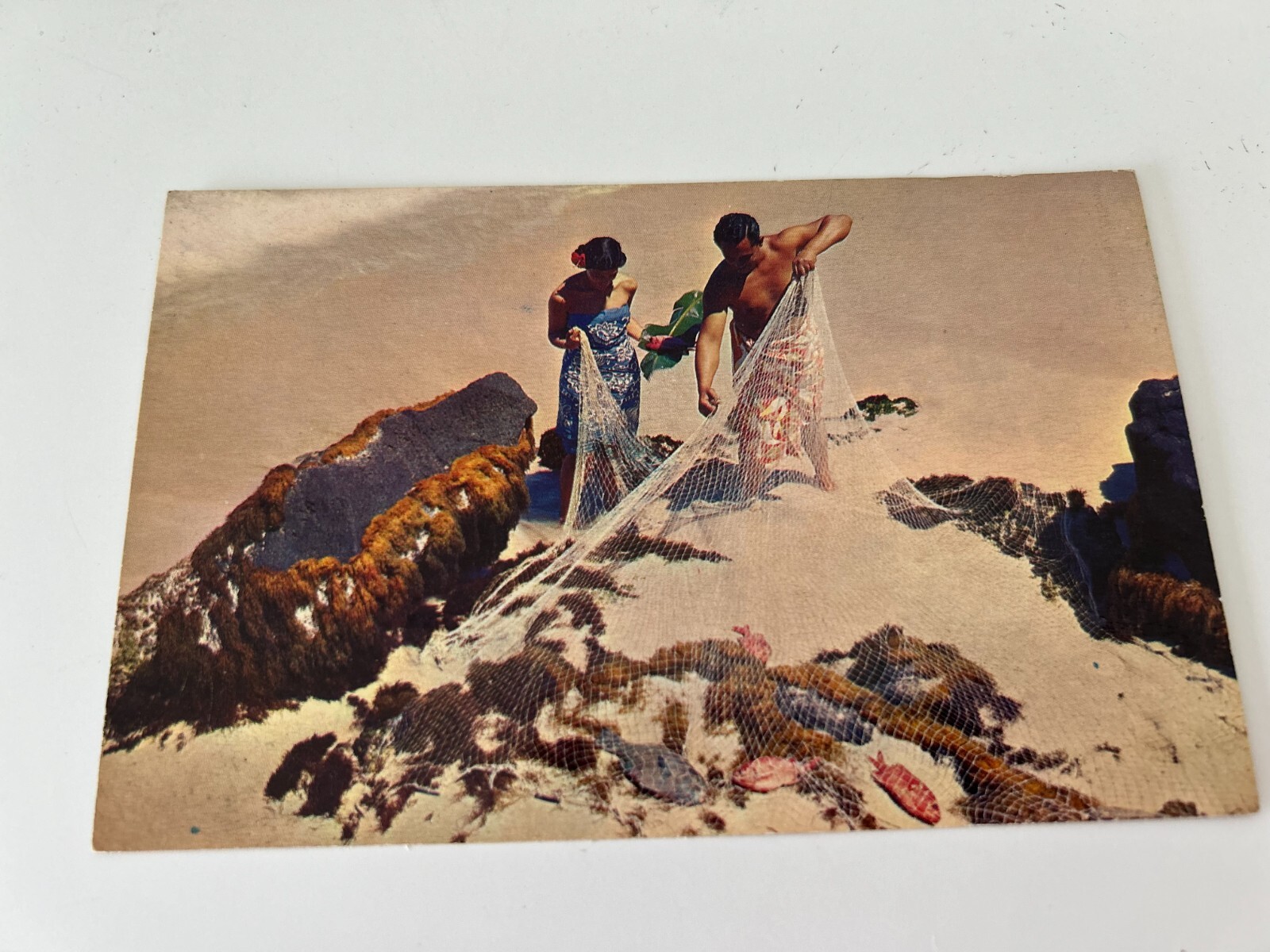 Hawaiian Net Fisherman South Pacific Waters Fish Catch Postcard