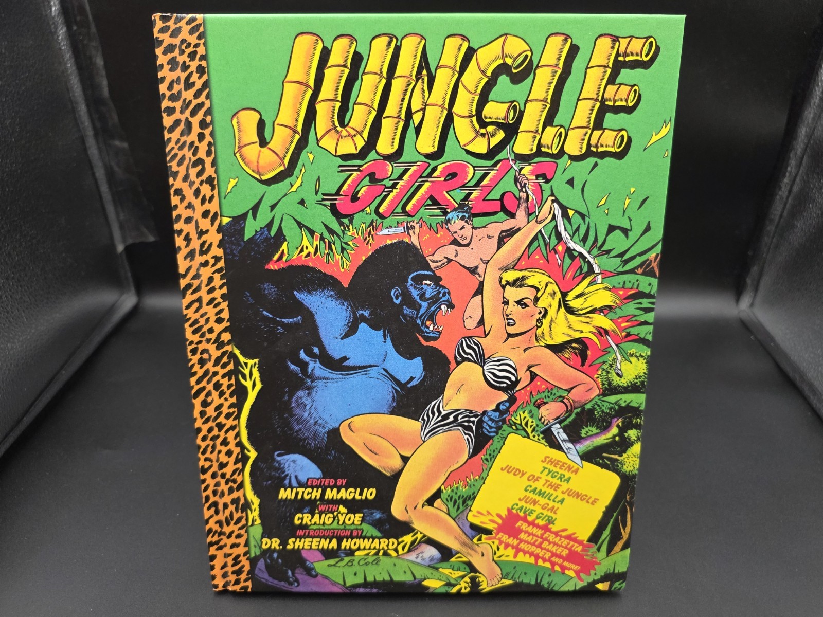 JUNGLE GIRLS HARDCOVER BOOK Mitch Maglio 2018 IDW Sheena Tygra Judy Camilla Cave JUNGLE GIRLS HARDCOVER BOOK Mitch Maglio 2018 IDW Sheena Tygra Judy Camilla Cave