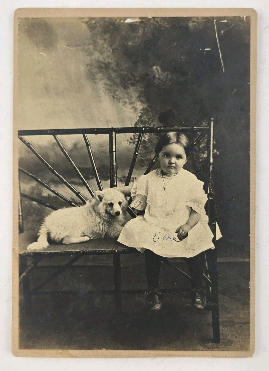 Unique Antique Cabinet Card Photo ID\'d Vera Adorable Girl Child Cross Puppy Dog