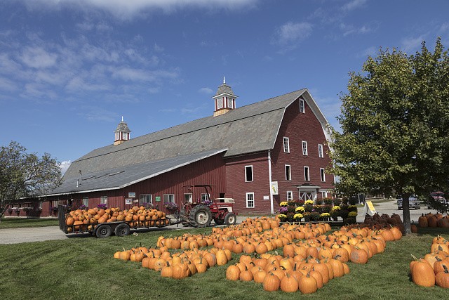 Photo:Richmond Vermont 2017 Barn Pumpkin Harvest Tractor Field Photo