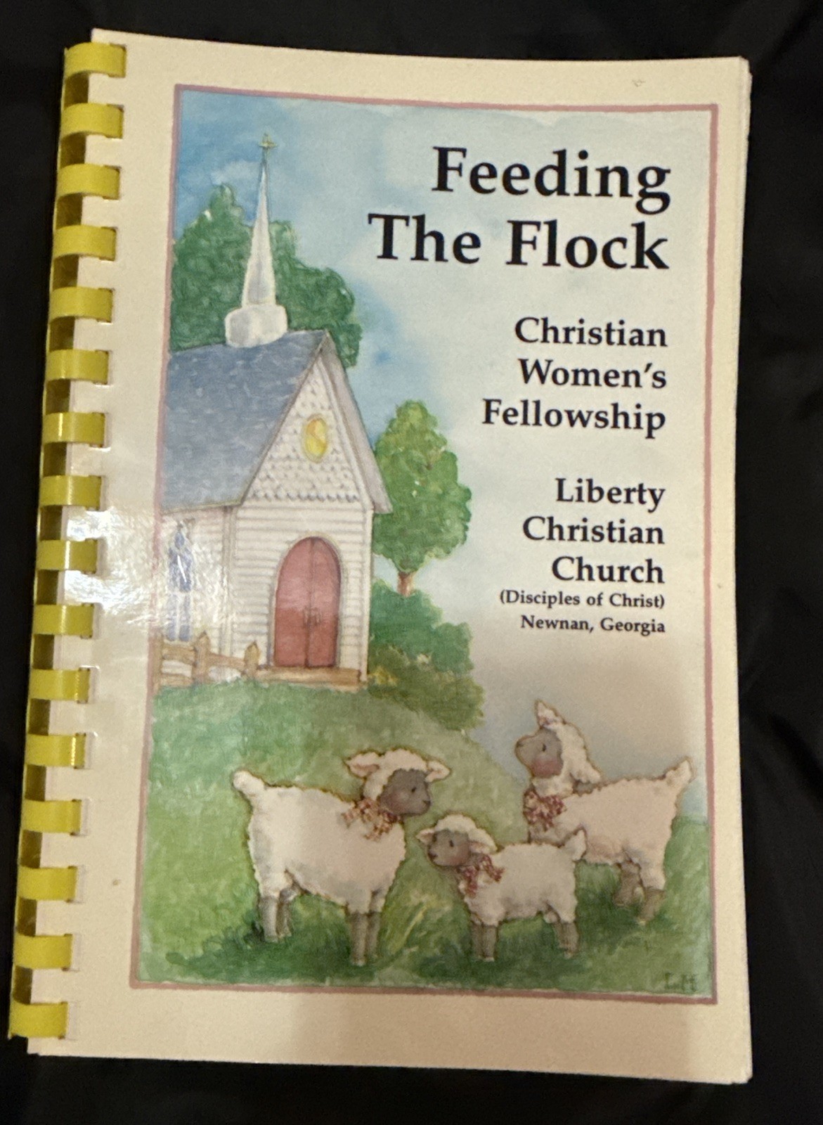 Feeding the Flock 1997 Cookbook Liberty Christian Church – Newnan GA Recipes