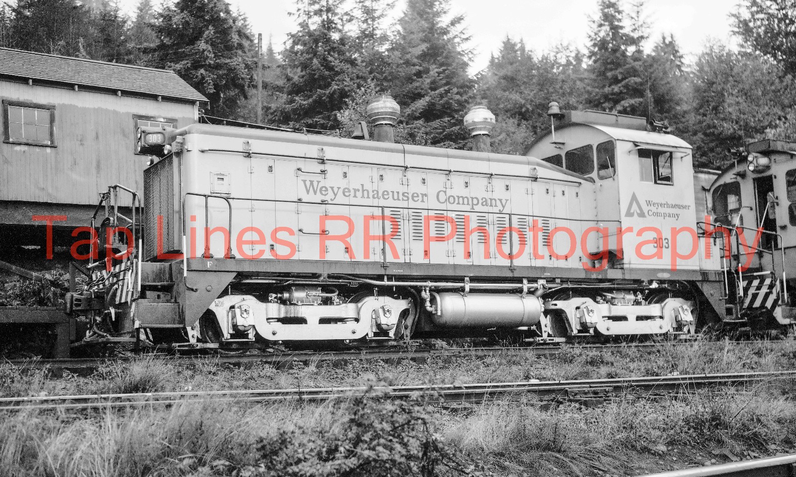 Weyerhaeuser Timber Co. #303 SW9 Headquarter WA 9-20-1979 Ardinger New 5x8 Photo