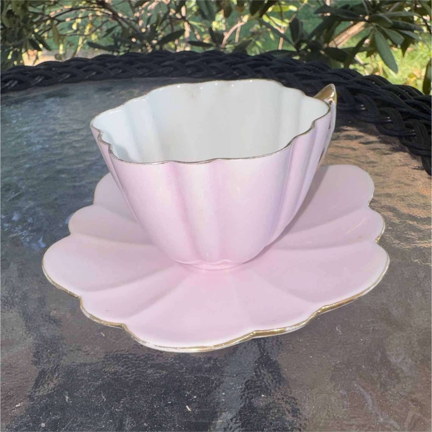 Shelley Wileman Late Foley Pink Daisy Teacup Saucer Set Rd 115510 Pattern 4043 Shelley Wileman Late Foley Pink Daisy Teacup Saucer Set Rd 115510 Pattern 4043