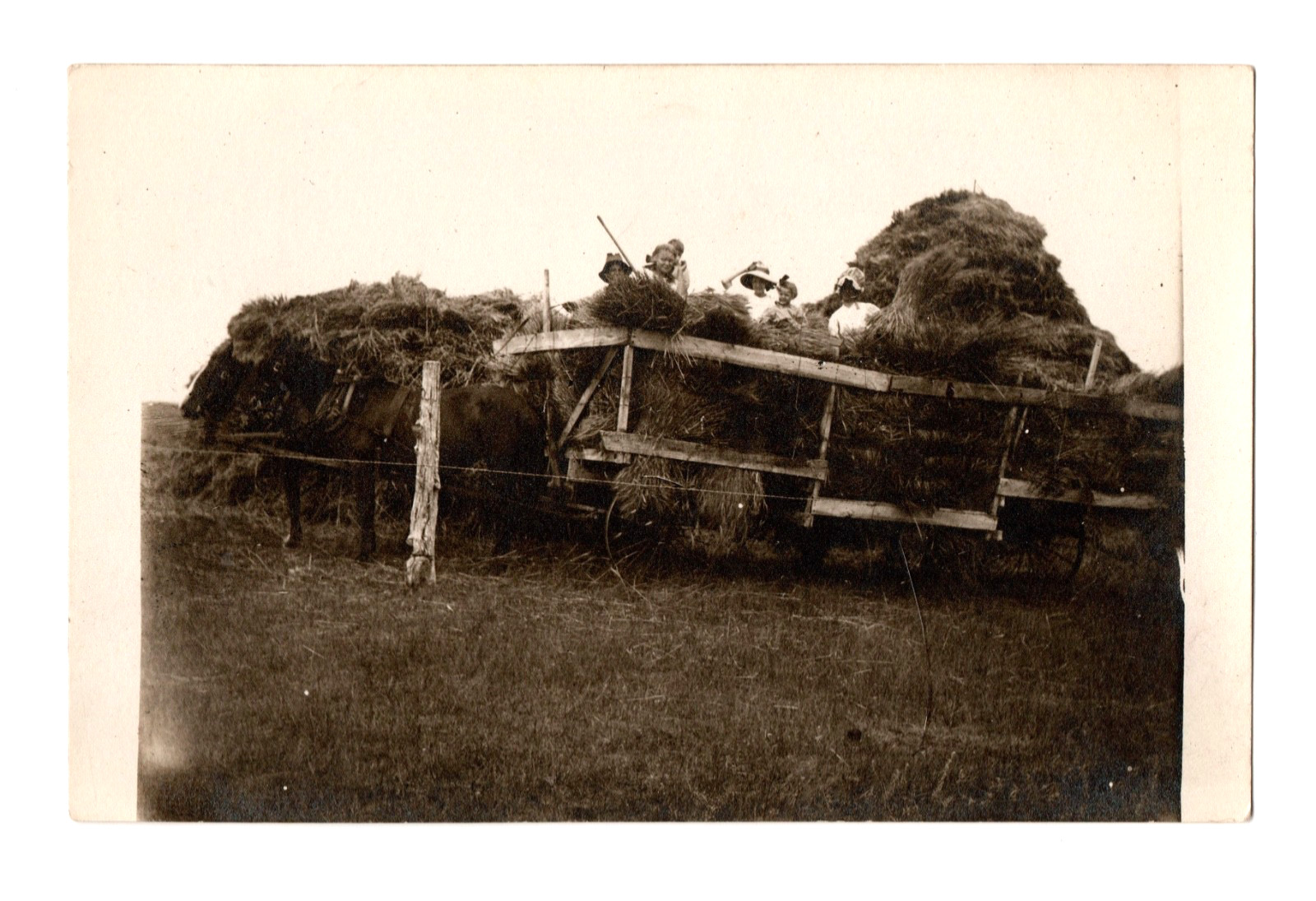 Women & Children Horse Drawn Hay Cart Farming Real Photo Postcard RPPC Unposted Women & Children Horse Drawn Hay Cart Farming Real Photo Postcard RPPC Unposted
