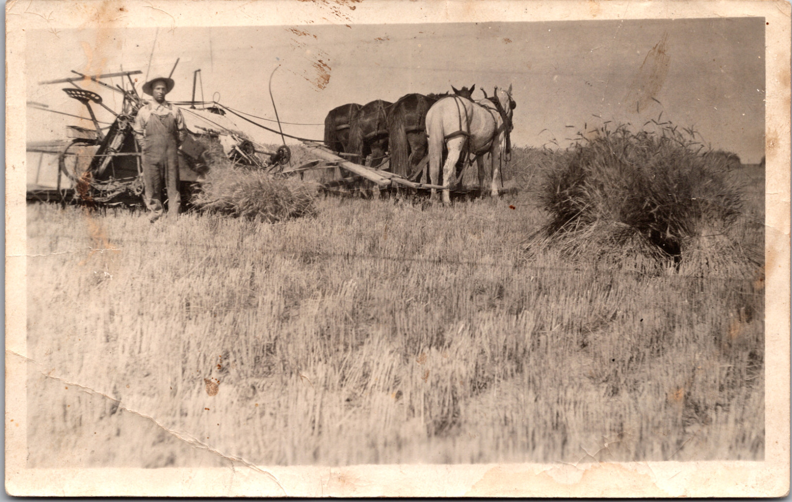 Farmer Horse Drawn Wagon Farm Scene RPPC Real Photo Postcard Antique VTG Farmer Horse Drawn Wagon Farm Scene RPPC Real Photo Postcard Antique VTG