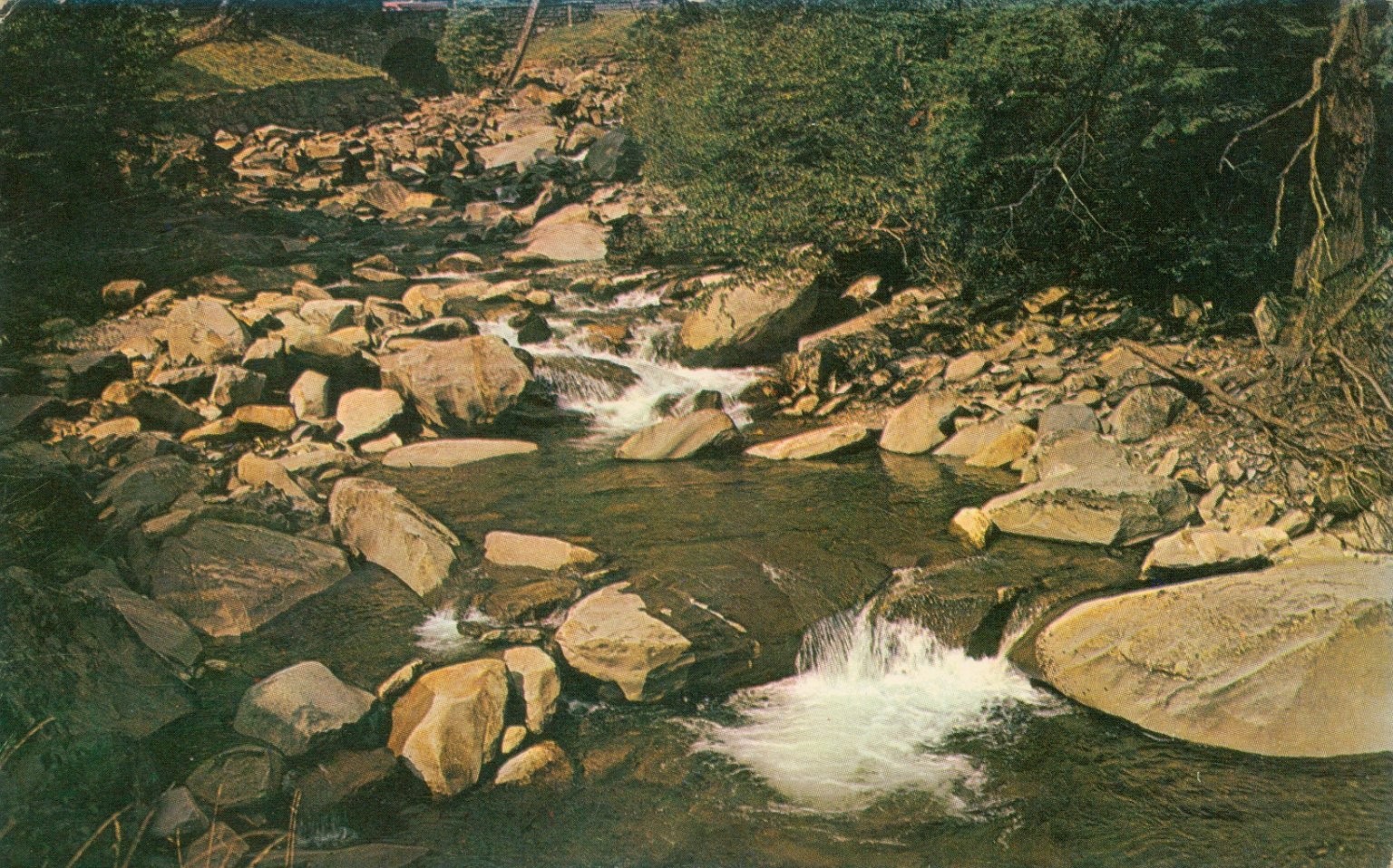 1964 Gatlinburg TN Great Smoky Mountains 441 Stream Plastichrome Postcard 1964 Gatlinburg TN Great Smoky Mountains 441 Stream Plastichrome Postcard