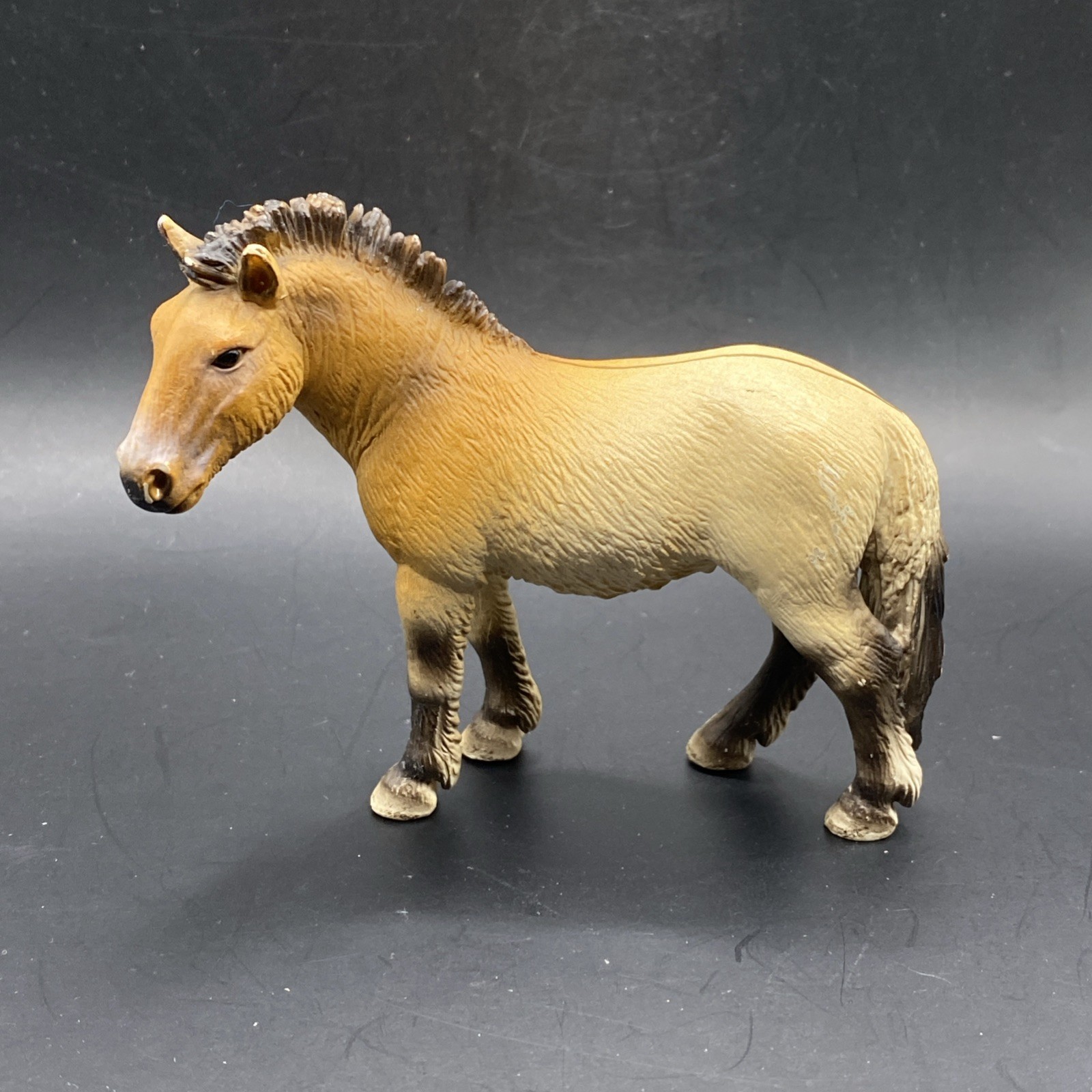 Schleich Przewalski 13620 Horse Mongolian Farm Life RETIRED 2006 Figurine RARE Schleich Przewalski 13620 Horse Mongolian Farm Life RETIRED 2006 Figurine RARE