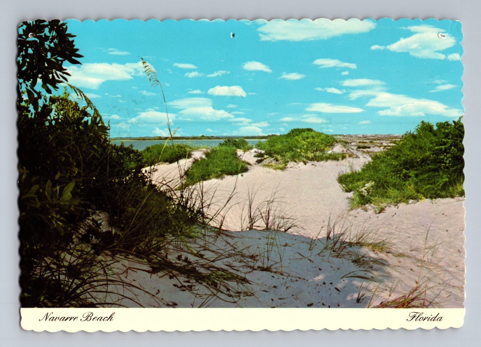 Sparkling White Sand Navarre Beach Florida Postcard Ocean Springs Dexter Sparkling White Sand Navarre Beach Florida Postcard Ocean Springs Dexter