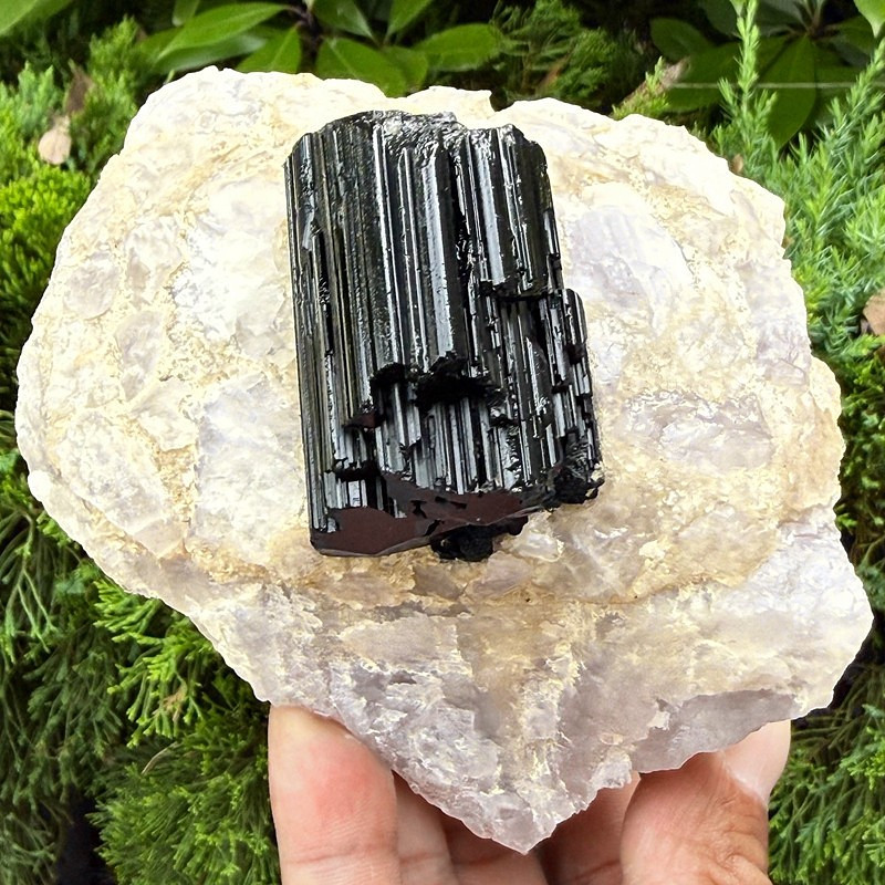 2.1LB Rare black tourmaline and quartzite symbiotic mineral specimen