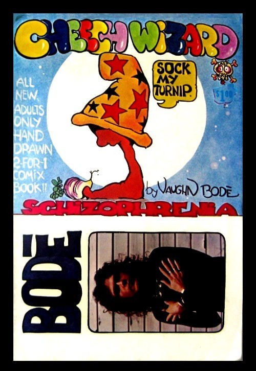 CHEECH WIZARD SCHIZOPHRENIA, 1973, 1ST PRINT, VAUGHN BODÉ'S, UNDERGROUND COMIC