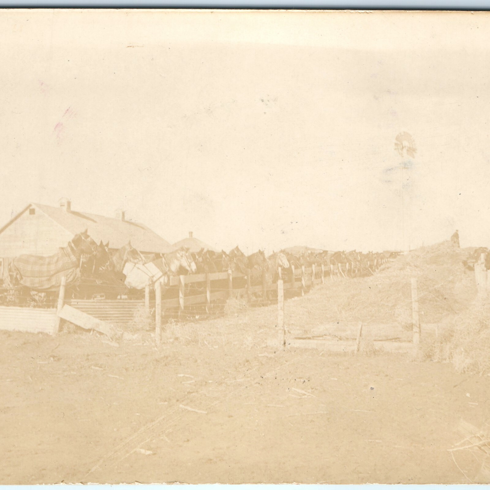 1911 Hartington, Neb. Large Group Horses RPPC Farm Real Photo Barn Postcard 1911 Hartington, Neb. Large Group Horses RPPC Farm Real Photo Barn Postcard